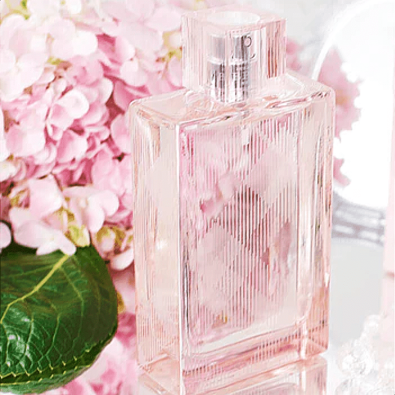 Untitled design - 2023-08-12T170301.775-modified Burberry Brit Sheer For Women Edt 100ml - Image 3