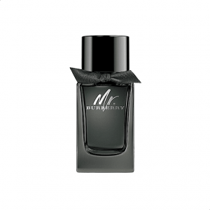 Burberry Mr. Burberry For Men Edp 100ml