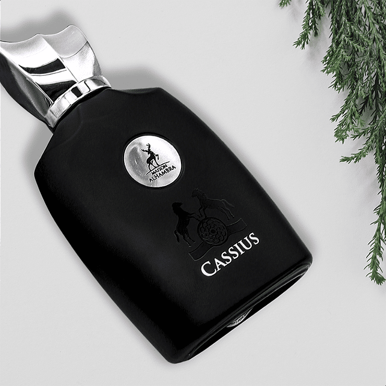 cassius 1-modified Alhambra Cassius For Men And Women Edp 100ml - Image 3