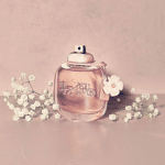 Coach Floral Blush For Women Edp 90ml - Image 4