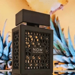 Rave Now For Men Edp 100ml - Image 3