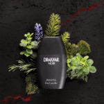 Guy Laroche Drakkar Noir for Men Edt 100ml - Image 4