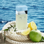 Dolce & Gabbana Light Blue for Women Edt 100ml - Image 3