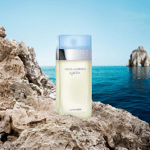 Dolce & Gabbana Light Blue for Women Edt 100ml - Image 4