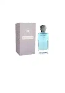 Fariis Parfum Champion For Men Edp 100ml - Image 2