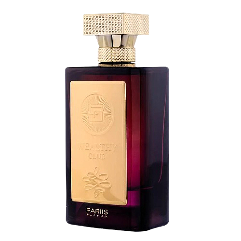 Fariis Parfum Wealthy Club For Men Edp 100ml Perfume Bottle